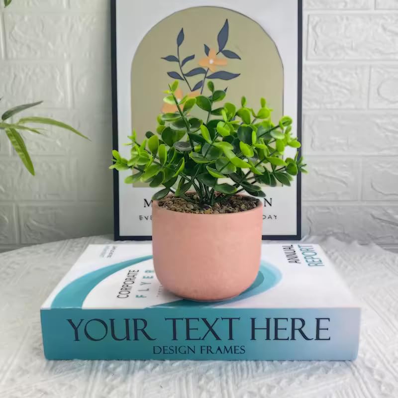 Ceramic Succulent Pots with Drainage, Perfect for Indoor Plants, Home and Office Decor, Gift for Plant Lovers - My Store