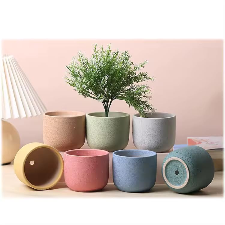 Ceramic Succulent Pots with Drainage, Perfect for Indoor Plants, Home and Office Decor, Gift for Plant Lovers - My Store